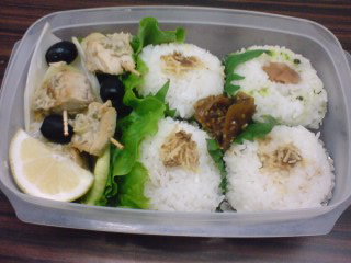 bento-2008-11-11c
