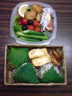 bento-2008-11-25a
