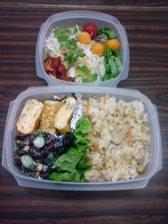 bento-2008-12-09a
