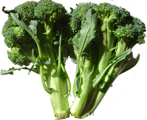 broccoli-1a