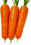 carrot-gosun