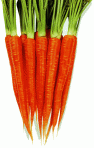 carrot-kinji