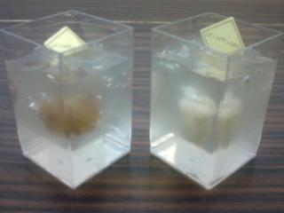 dessert-foodbuzz-6a dessert-foodbuzz-6a