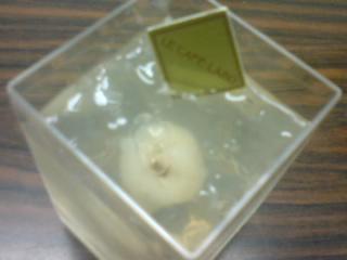 dessert-foodbuzz-6c dessert-foodbuzz-6c