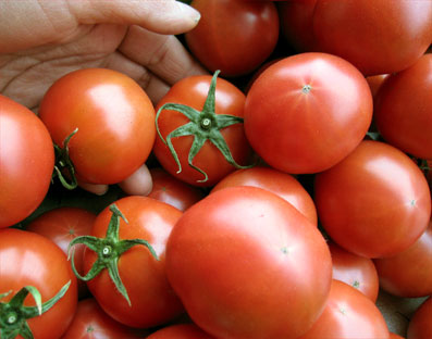 tomato-fruit