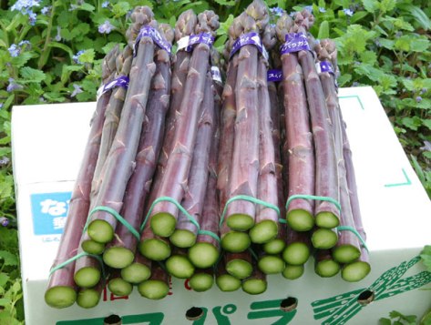 asparagus-violet