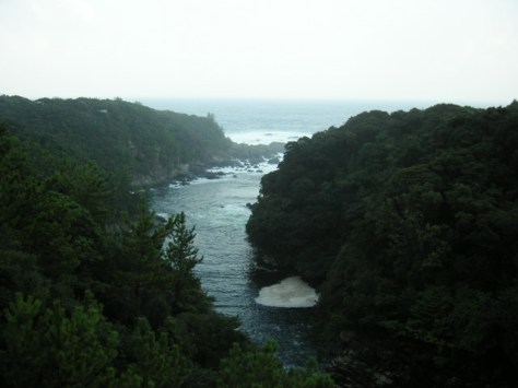 yakushima-3