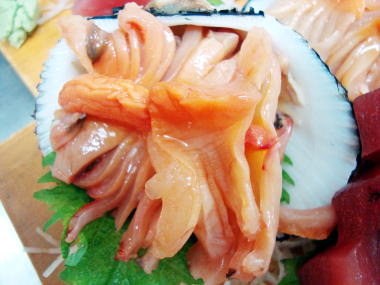Shellfish Species 10: Ark Shell/Akagai | SHIZUOKA GOURMET