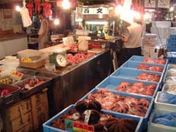 OCTOPUS-MADAGO-TSUKIJI
