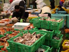 OCTOPUS-NUMAZU-HARBOUR