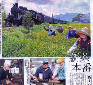 tea-shimbun