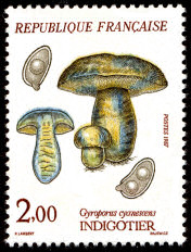 timbres-gastronomie-champignons-indigotier timbres-gastronomie-champignons-indigotier