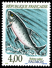 TIMBRES-GASTRONOMIE-POISSON-Saumon TIMBRES-GASTRONOMIE-POISSON-Saumon