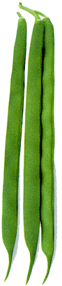 STRING-BEANS-SAABERUINGEN