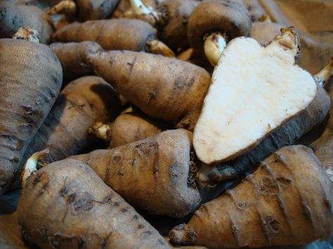 CERFEUIL-1 CERFEUIL-1