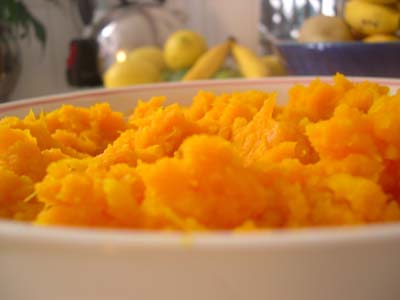 POTIMARRON-MASHED POTIMARRON-MASHED