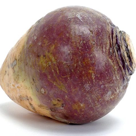 RUTABAGA-1 RUTABAGA-1