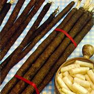 SCORSONERE-2 SCORSONERE-2