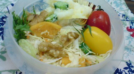 BENTO-09-11-09e