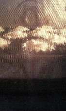 VEGAN-TOFU-CUPCAKE-5 VEGAN-TOFU-CUPCAKE-5