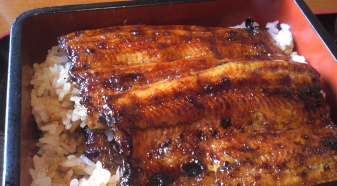 Japanese Gastronomy: Eels at Chigusa in Hamamatsu City!