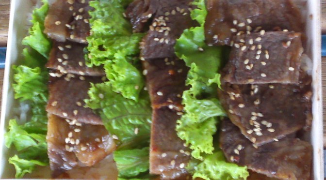 Shizuoka Ekiben/Railway Station Bento: Shizuoka Charcoal-grilled Beef in Shizuoka JR Railway Station