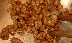 IRI-NATTO-3