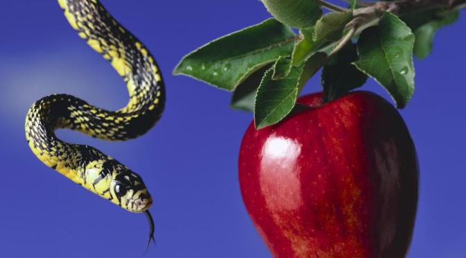 Scary Food Stories: Apples