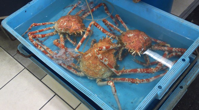 More Seafood & Fish at Parche Supermarket in Shizuoka City!-And a Fantastic Crab!