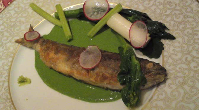 Shizuoka-raised Amago Trout Recipe by Dominique Corby at Le Cordon Bleu  Japan, Inc., Tokyo in Collaboration with M2 labo Inc.!