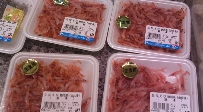 More  Seafood & Fish at PARCHE Supermarket in Shizuoka City!-And Sakuraebi & Shirasu!