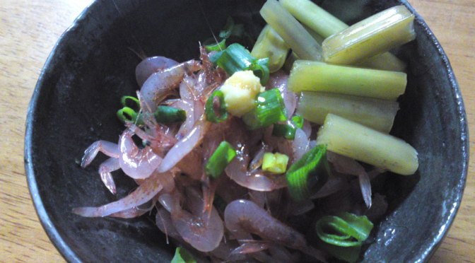 Japanese Appetizer (O-toushi/お通し): Sakura Ebi/Cherry Shrimps & Pickled Wasabi Stems!