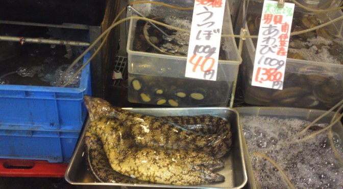 Moray Eel at Shizuoka Parche Market!
