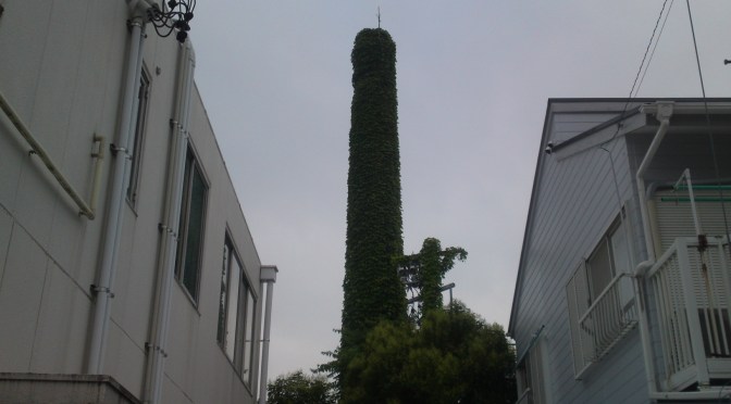 Abandoned Shizuoka: Ivy Chimney in Shizuoka City!