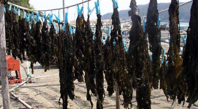 Seaweed: The Vegetable of the Oceans! (updated)