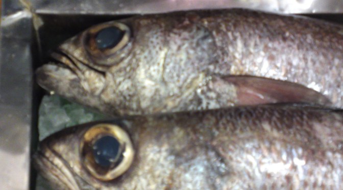 Local Shizuoka Fish & Seafood at Parche Fish Market in Shizuoka City: including Bermuda Fish!