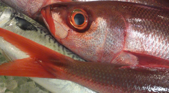 Local Shizuoka Fish & Seafood at Parche Fish Market In Shizuoka City: Including “Red mackerel/Bonnetmouth!