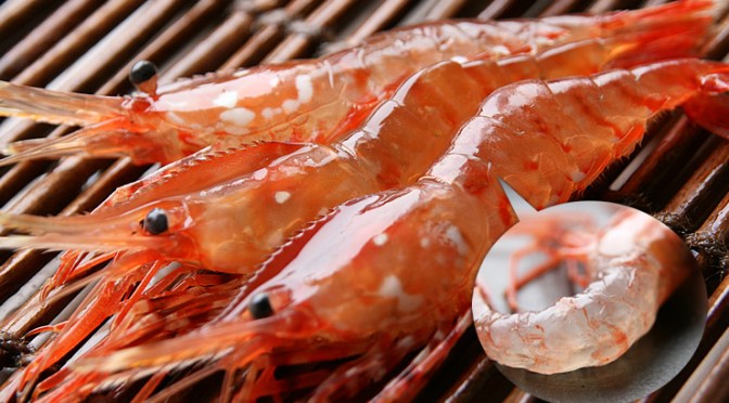 Japanese Crustacean Species 2: Botan Ebi-Large Prawn