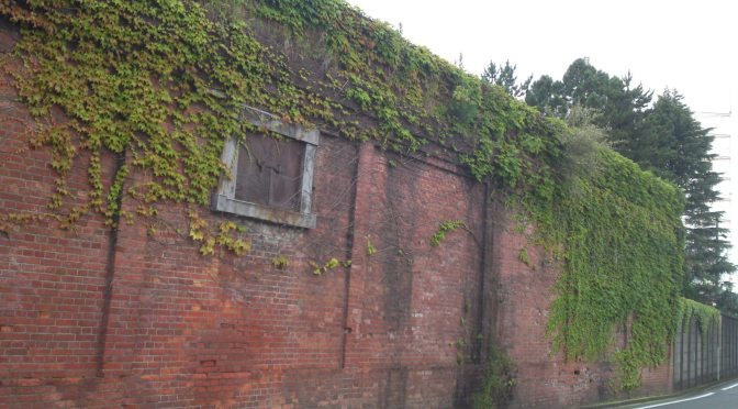 KURA: Traditional Japanese Warehouses in Shizuoka Prefecture 25: Shimada City, Yokoi Factory
