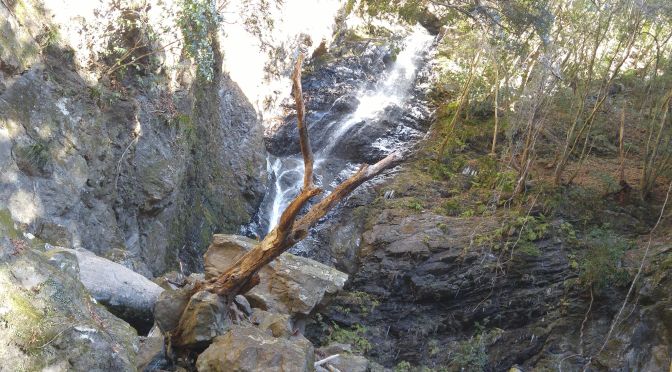 Fudou No Taki Waterfalls in Kawane Hon Cho, Shimada City!