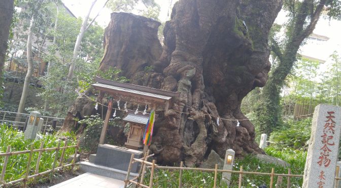Kinomiya Shrine (木宮神社) in Atami City!