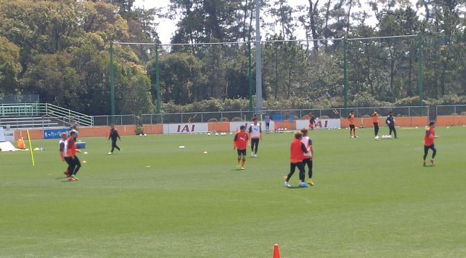 Shimizu S-Pulse Soccer Practice Ground Visit