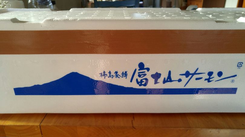 富士サーモン13