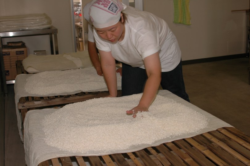 Hamamatsu Shuzou 3