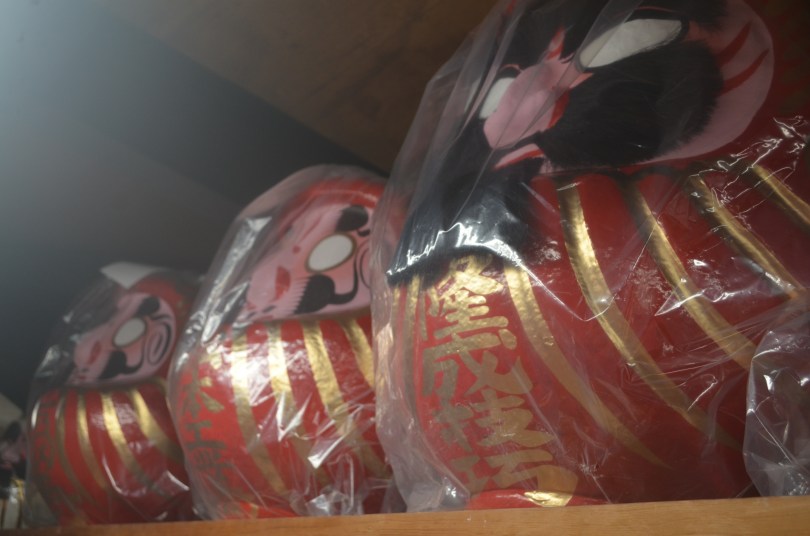 Daruma barbus