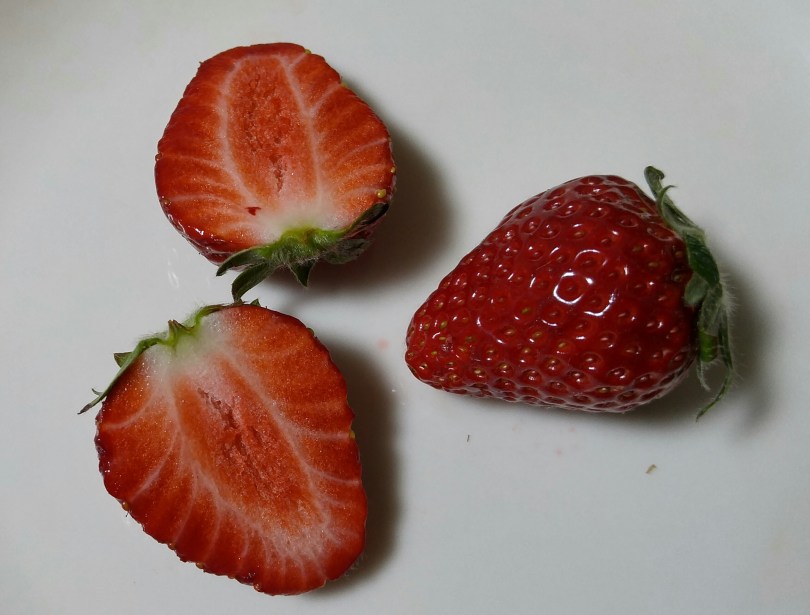 OiC strawberry 3