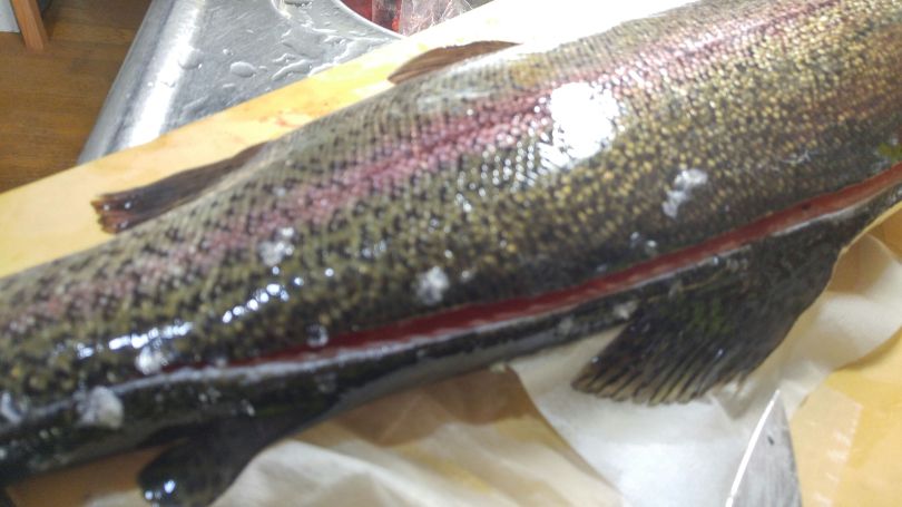 Fuji san salmon découpe