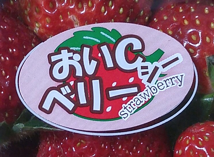 OiC strawberry 2